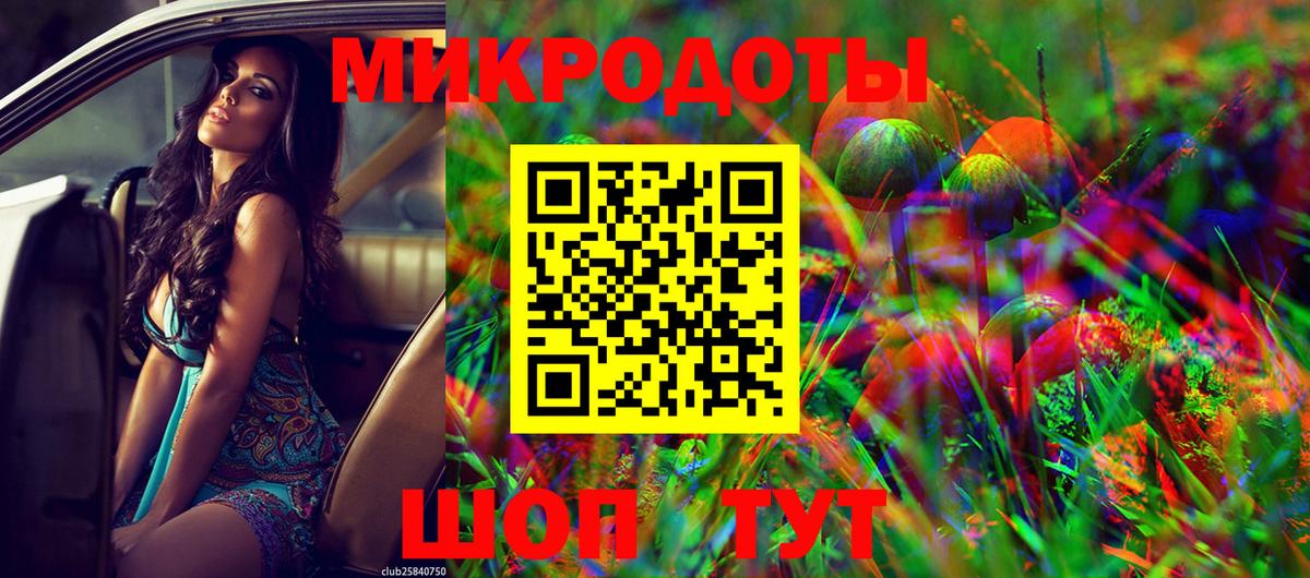 Галлюциногенные грибы Psilocybe Бугуруслан