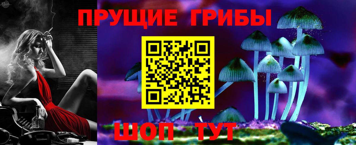Псилоцибиновые грибы прущие грибы  Вход с VPN  Бугуруслан 